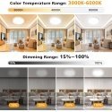 Other Lamp VISIONAL Power consumption 50 Watts Luminous flux 6000 Lumen 6000 K VS-FL-50-IP44/W