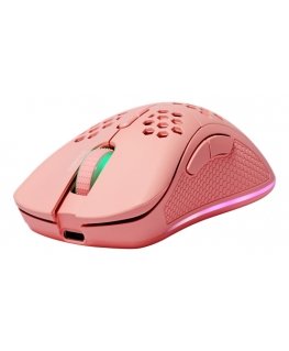Deltaco Gaming GAM-120-P kompiuterio pelė Žaidimams Dešinės rankos RF Wireless + USB Type-C Lazeris 4800 DPI