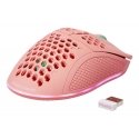 Deltaco Gaming GAM-120-P mouse Right-hand RF Wireless + USB Type-C Laser 4800 DPI