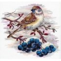 Beldizart ristipistokirjontasarja "Vikrus žvirblis" 19*19 cm SNV-920 Beldizart ristipistokirjontasarja "Vikrus žvirblis" 19*19 cm SNV-920