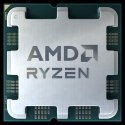AMD Ryzen 5 8500G processor 3.5 GHz 16 MB L3 Tray