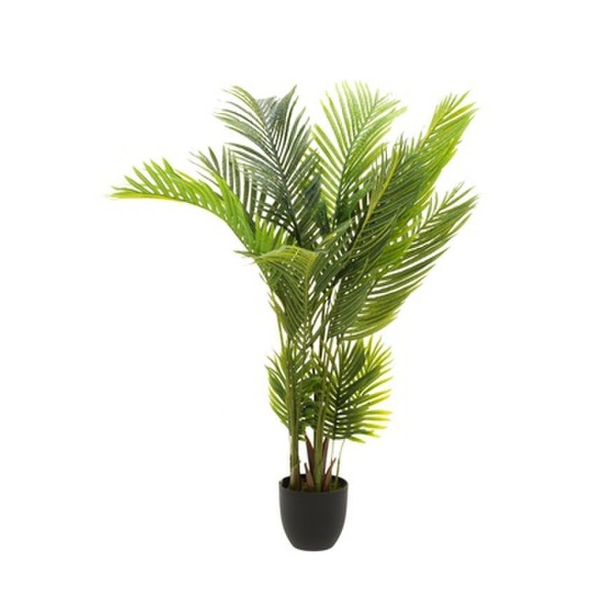Mondex Since 1986 VIRIDIS Tehis lill palm 13x12x57cm