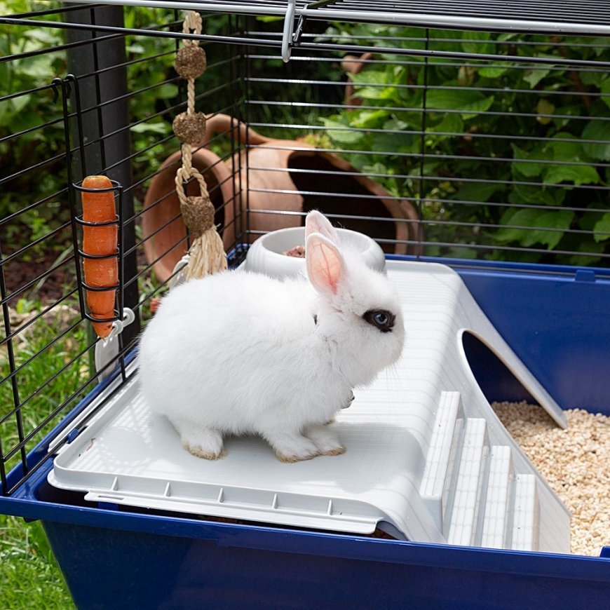 Ferplast Rabbit 120 Küülik Sinine – 3