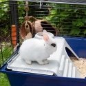 Ferplast Rabbit 120 Blue Ferplast Rabbit 120 Blue