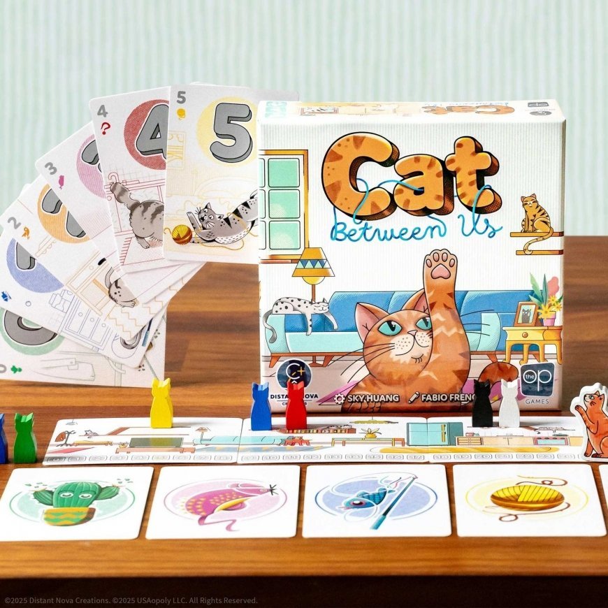 Asmodee Cat Between Us Board game – 2