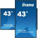 iiyama 43” Vivid-Bright Display with 4K resolution and 800cd/m² panels for illuminating communicatio iiyama 43” Vivid-Bright Display with 4K resolution and 800cd/m² panels for illuminating communicatio