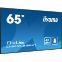 iiyama 65" Vivid-Bright Display with 4K resolution and 800cd/m² panels for illuminating communicatio iiyama 65" Vivid-Bright Display with 4K resolution and 800cd/m² panels for illuminating communicatio