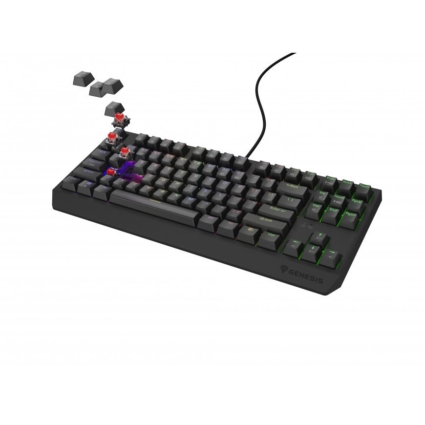 GENESIS Thor 230 TKL tastatūra Speļu