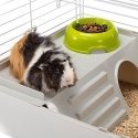 Ferplast Cavie 80 Guinea pig White Ferplast Cavie 80 Guinea pig White