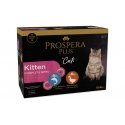 Prospera Plus Kissat Naksut Multipack 12x 85g Prospera Plus Kissat Naksut Multipack 12x 85g