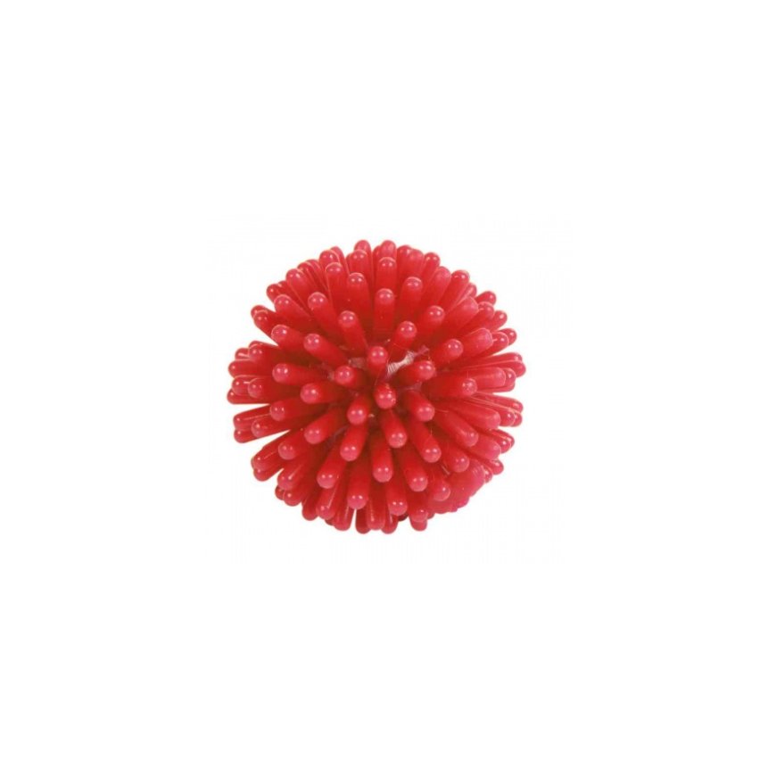 TRIXIE Hedgehog Ball – 2
