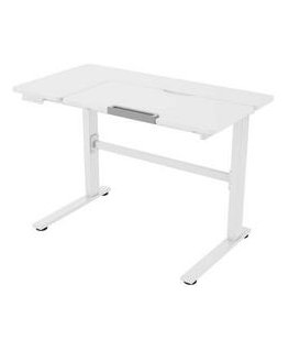 Home4You Children's Desk ERGO KID with 1 Motor 112x60x56-80cm, White