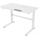 Home4You Детский стол ERGO KID с 1 мотором 112x60x56-80 см, белый Home4You Детский стол ERGO KID с 1 мотором 112x60x56-80 см, белый