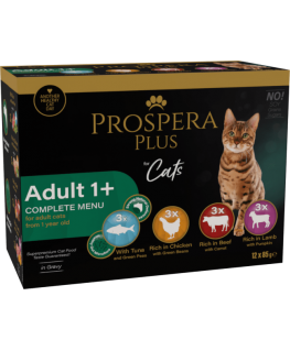 Кошачий корм Prospera Plus для взрослых кошек 1+ Пакет с 12 контейнерами по 85 г