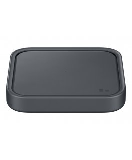 Samsung EP-P2400 Išmanusis telefonas Pilka USB Vidaus