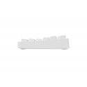 GENESIS Thor 404 TKL keyboard Gaming USB QWERTY US International White