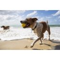 Waboba Fetch Waboba Fetch