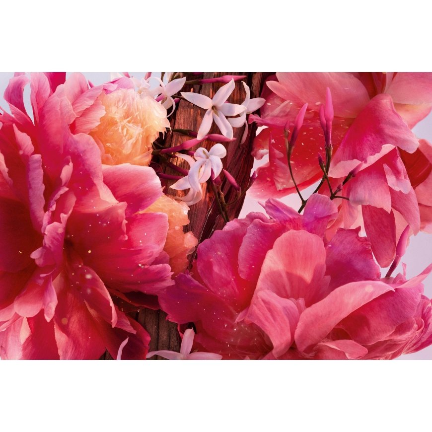 Dior Miss Parfum 50ml – 3