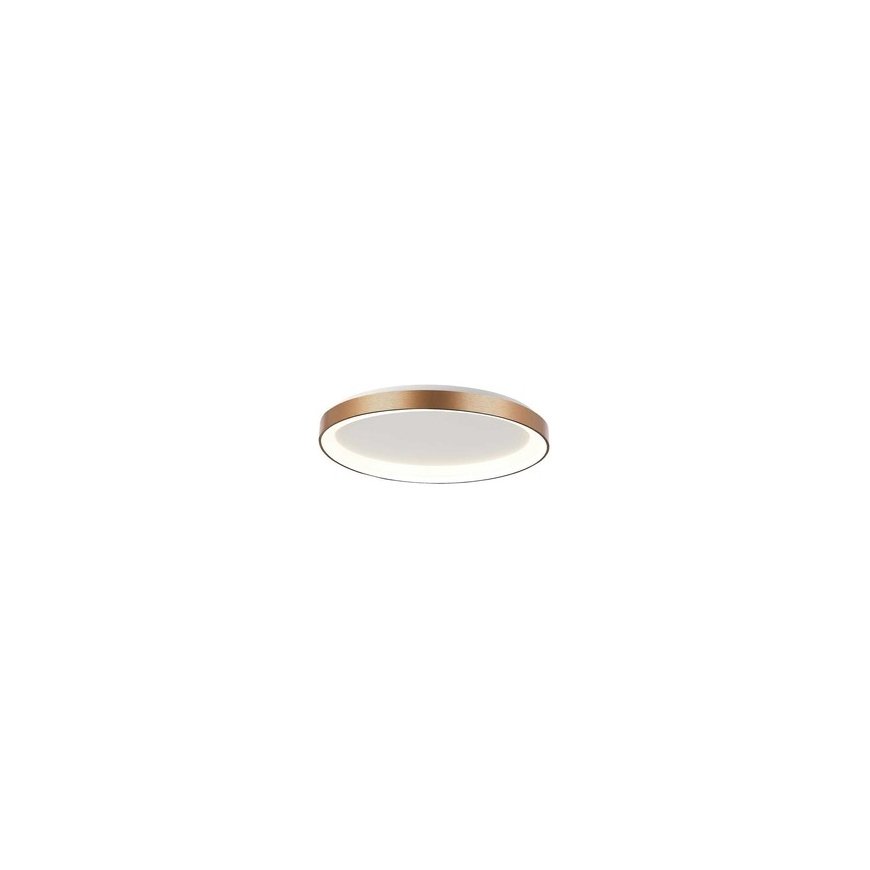 Ceiling Light Fixture - MITOYA PICO Softbox 65cm BOWENS Adapter with Grid