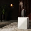 Duux Tag 2 õhuniisuti Ultrahelilained 2,5 l Must 12 W Duux Tag 2 õhuniisuti Ultrahelilained 2,5 l Must 12 W