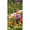 Gucci Bloom, 100 ml (Tester)