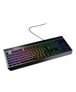 GENESIS Rhod 530 клавиатура Игровой USB QWERTY Американский английский Черный