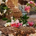 Gucci Bloom 30 ml Sievietes