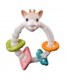 Vulli 220120 rattle