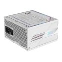 GIGABYTE AORUS ELITE P850W ICE блок питания 850 W 20+4 pin ATX ATX Белый GIGABYTE AORUS ELITE P850W ICE блок питания 850 W 20+4 pin ATX ATX Белый