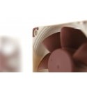 Noctua NF-A6x25 PWM Datora korpusam Ventilators 6 cm Bēšs, Brūns Noctua NF-A6x25 PWM Datora korpusam Ventilators 6 cm Bēšs, Brūns