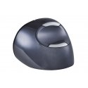 BakkerElkhuizen BNEEVRDW mouse Office Right-hand RF Wireless Laser 3200 DPI BakkerElkhuizen BNEEVRDW mouse Office Right-hand RF Wireless Laser 3200 DPI