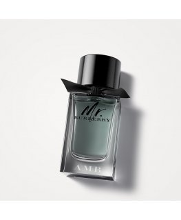 Burberry Mr. 100 ml Mehed