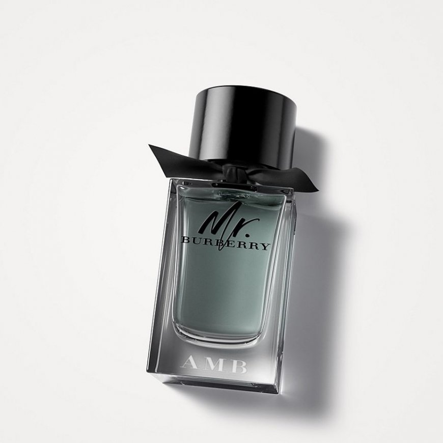 Burberry Mr. 100 ml Miesten