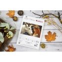 luca S Набор для вышивания крестом. «Нежный дух леса» 52 x 32 см SB724 luca S Набор для вышивания крестом. «Нежный дух леса» 52 x 32 см SB724