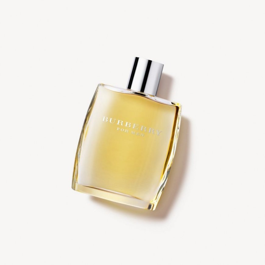 Burberry For Men 100 ml Vyrams – 2