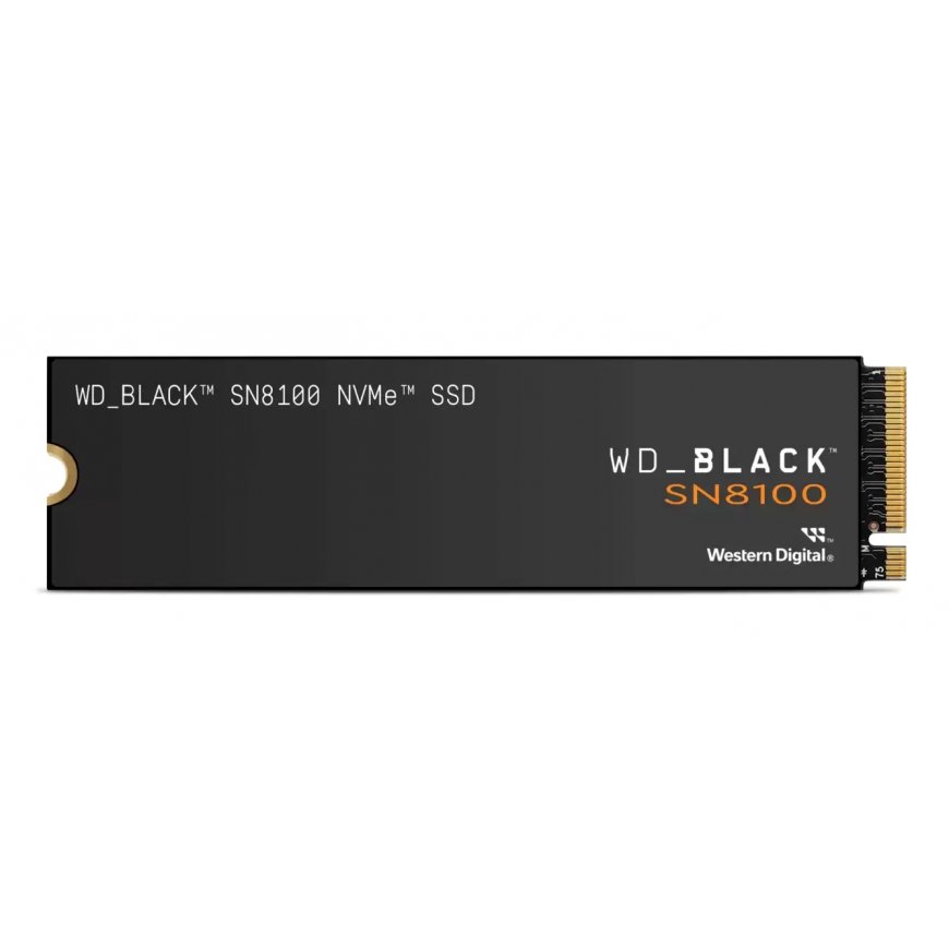 Western Digital Western Digital Black SN8100