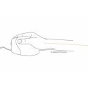 BakkerElkhuizen Evoluent4 Mouse (Right Hand) BakkerElkhuizen Evoluent4 Mouse (Right Hand)