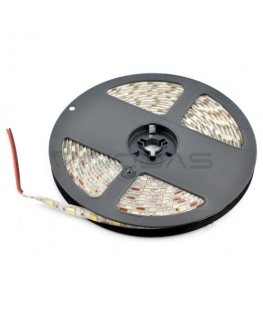 Oem LED lente SMD5050 IP65 14.4W, 60 diodi / m, 10mm, auksta krāsa - 5m