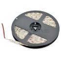 OEM LED strip SMD5050 IP65 14.4W, 60 diodes/m, 10mm, cool color - 5m OEM LED strip SMD5050 IP65 14.4W, 60 diodes/m, 10mm, cool color - 5m
