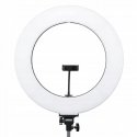 LED-valaisin - MITOYA RL-480 45cm 60W Säädettävä 3000-6000K LED-valaisin - MITOYA RL-480 45cm 60W Säädettävä 3000-6000K