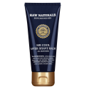 Raw Naturals, Mr.Cool, 100% vegan, Refreshing, After-Shave Balm, Raw Naturals, Mr.Cool, 100% vegan, Refreshing, After-Shave Balm,