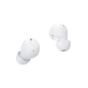 White Shark GEB-TWS-02 Vortex White White Shark GEB-TWS-02 Vortex White