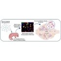 OPC-2 DG - Kotelo liiketunnistimille OPC-2 DG - Kotelo liiketunnistimille