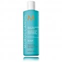 Moroccanoil Šampūns veselīgai galvas ādai (balansējošais šampūns) Moroccanoil Šampūns veselīgai galvas ādai (balansējošais šampūns)