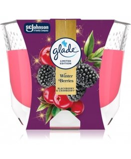 Glade lõhnav küünal Talve Marjad 204 g
