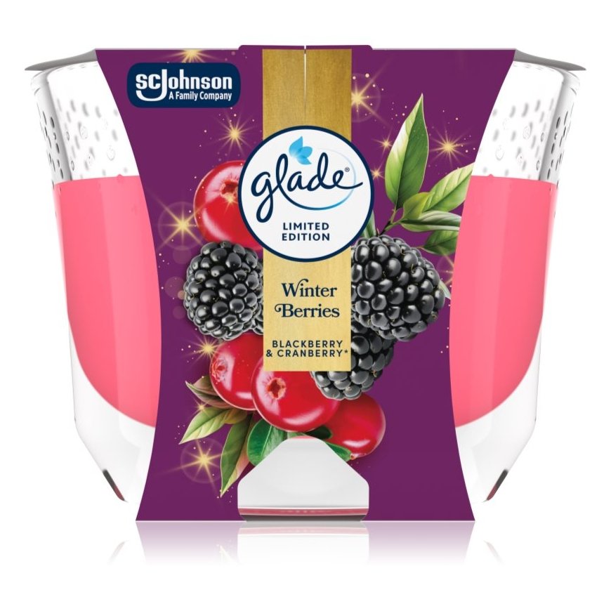 Glade kvapnioji žvakė Žiemos uogos 204 g