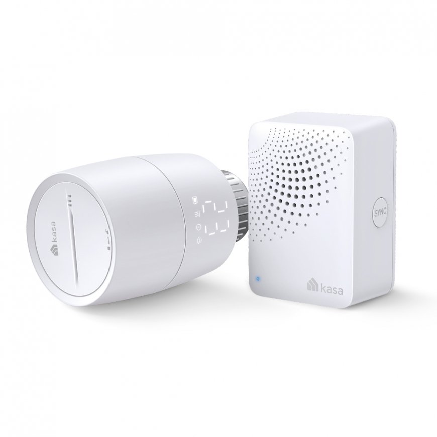 Kasa Smart Kasa Smart KE100 KIT