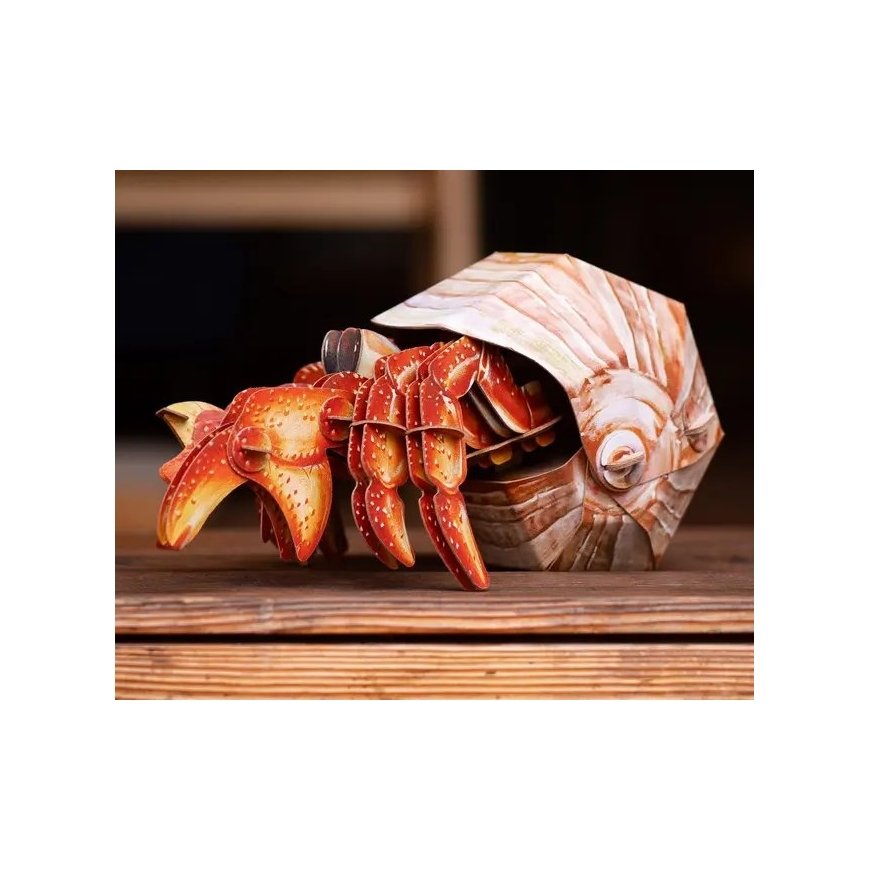 MAKEBUG 3D popierinė delionė Krabas atsiskyrėlis, MB-B-0008