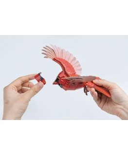MAKEBUG 3D paberimäng Kardinal, MB-D-0055
