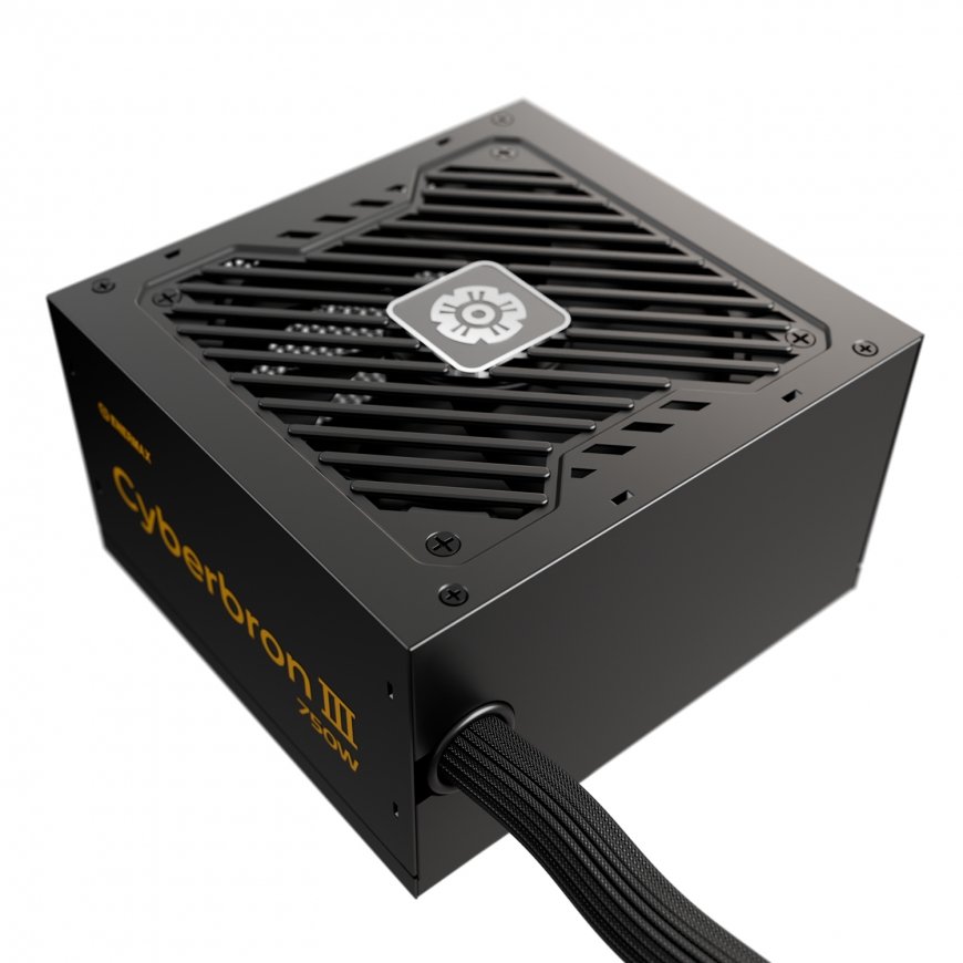 Enermax EMB750EWT-NAC barošanas avotu vienība 750